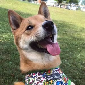 Meet your Posher, Christa